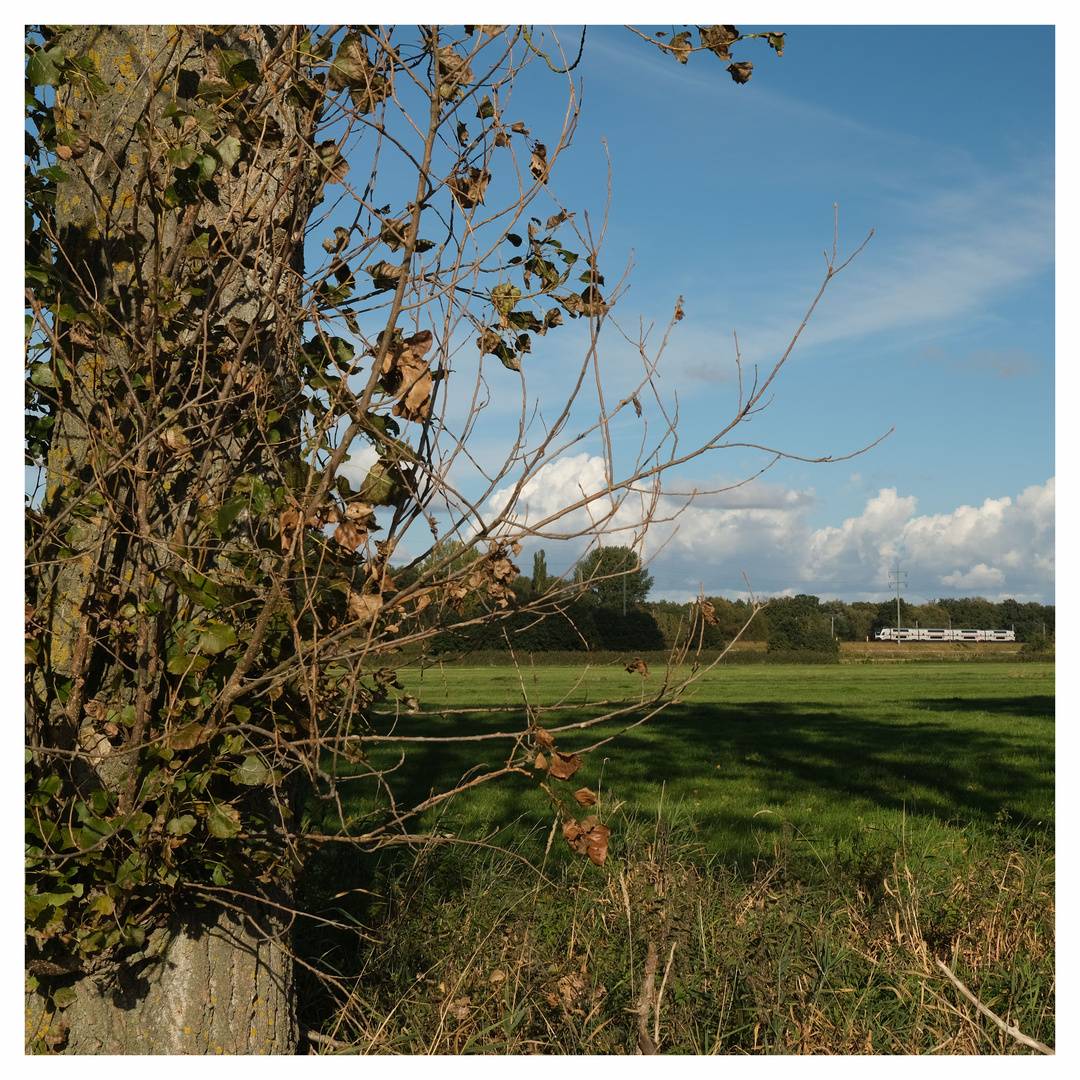 InterCity im Herbst