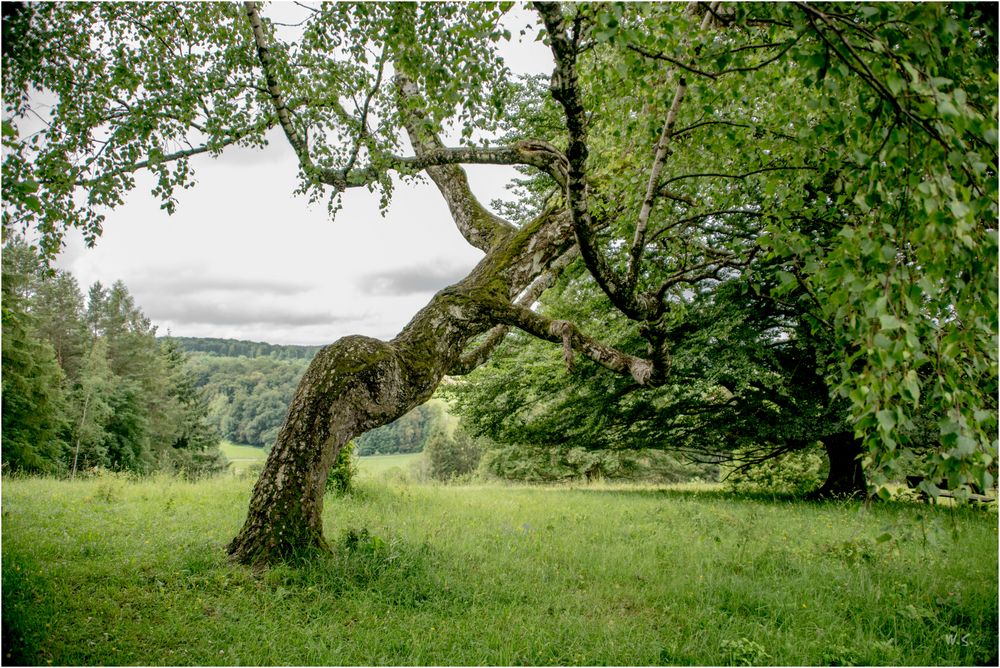 interessante Statik Foto & Bild landschaft, lebensräume, fotos Bilder