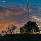 Interessante Wolke am Abendhimmel