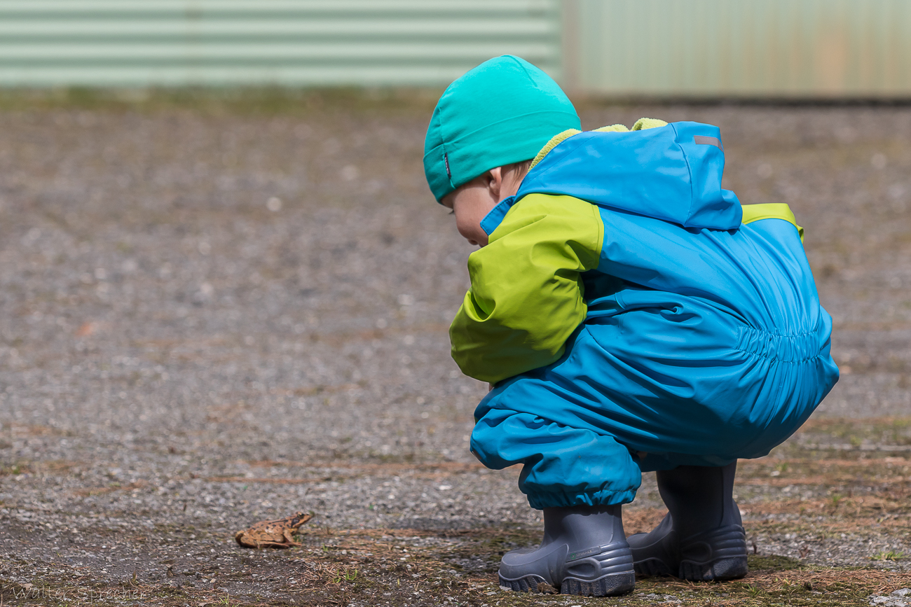 Interessiert Foto & Bild | tiere, wildlife, amphibien & reptilien