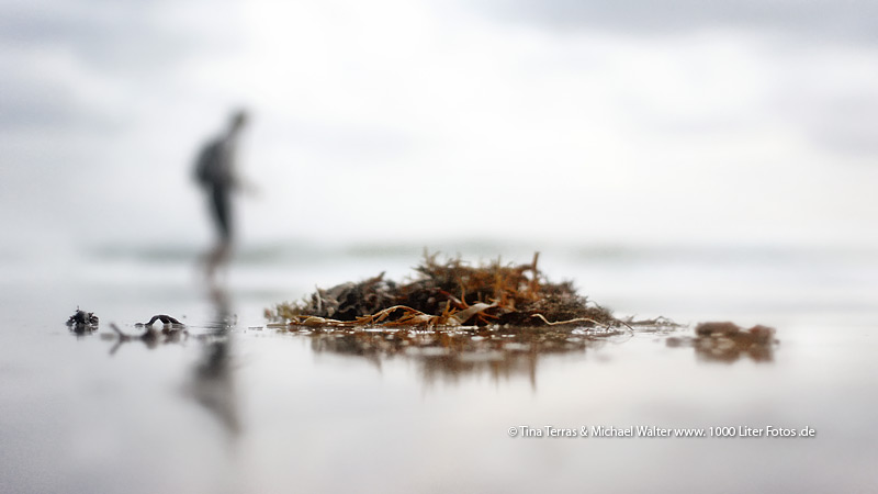 Interessiert an einem Fotoworkshop auf Sylt?