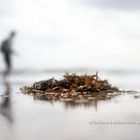 Interessiert an einem Fotoworkshop auf Sylt?