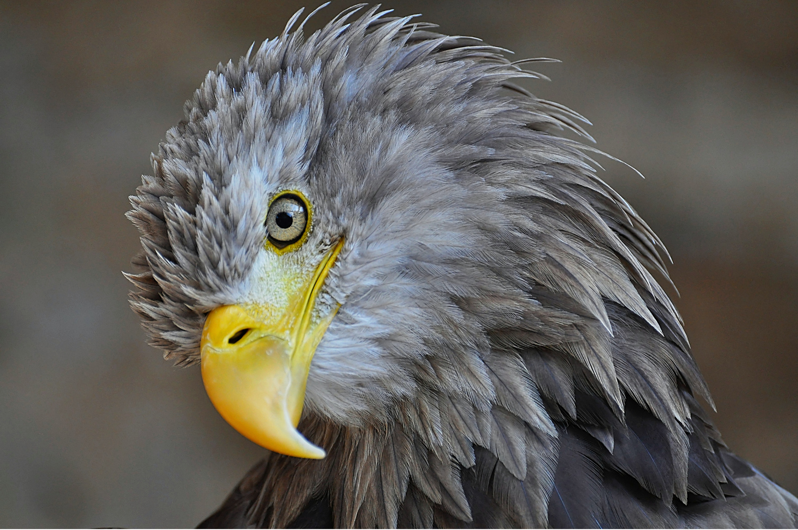 Interessierter Blick