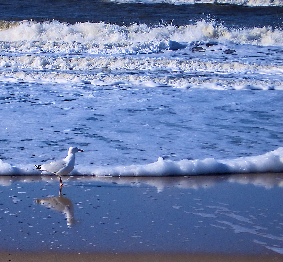 interessierter strandwächter