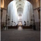 Intérieur de la Cathédrale Saint-Pierre-et-Saint-Paul de Nantes