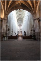Intérieur de la Cathédrale Saint-Pierre-et-Saint-Paul de Nantes