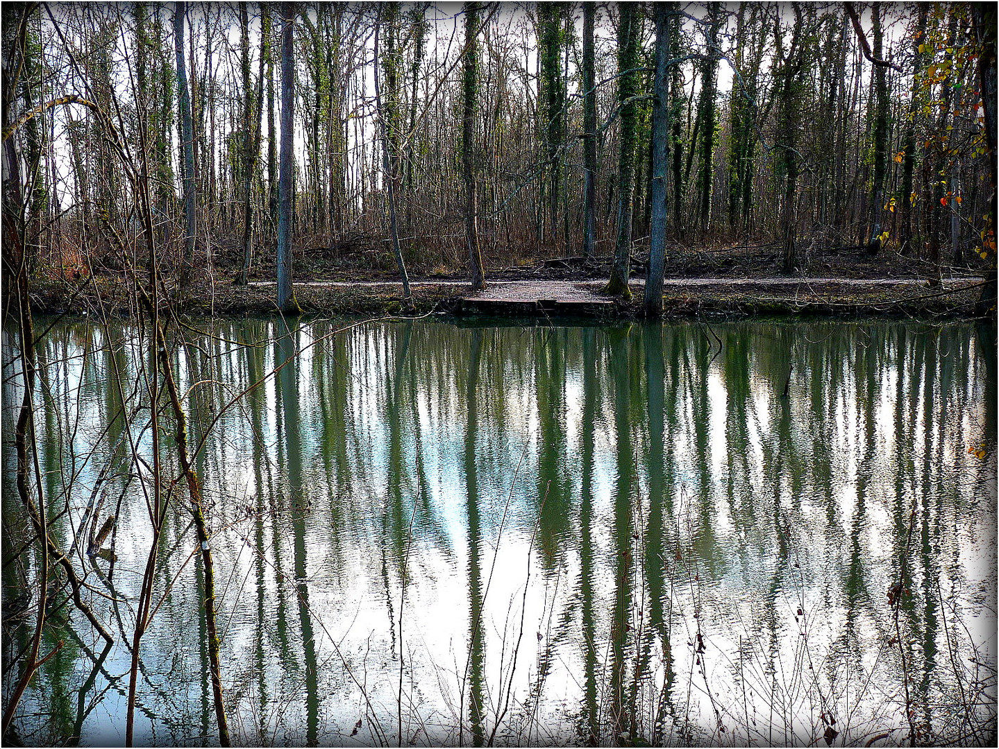 INTERMEDE - 1 - Bois Notre Dame en Hiver .