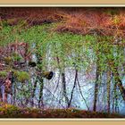 INTERMEDE -3 - Bois Notre Dame en Hiver .