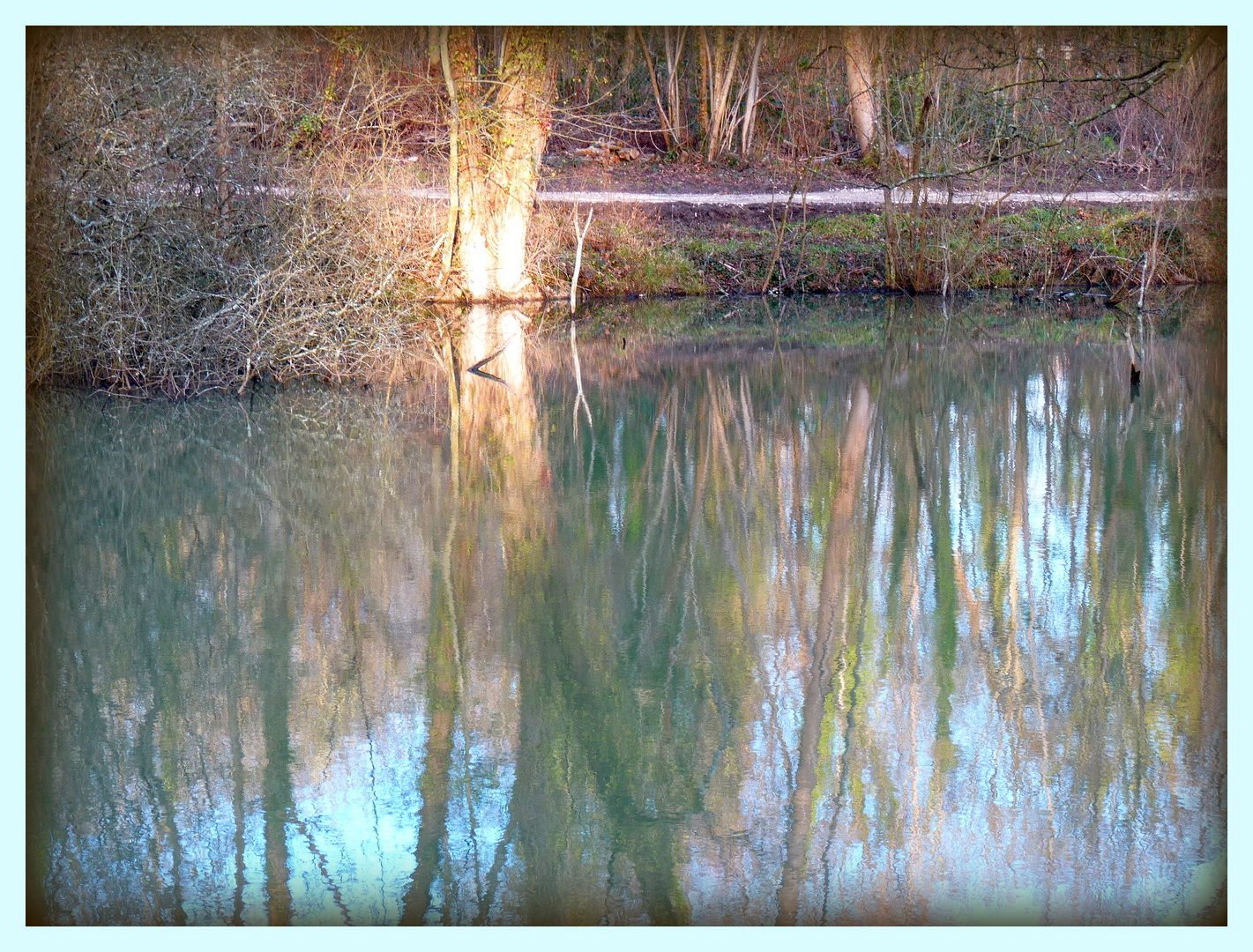 INTERMEDE -6 - Bois Notre Dame en Hiver .