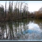 INTERMEDE - 7 - - Bois Notre Dame en Hiver .