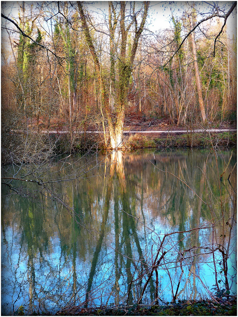 INTERMEDE - 9 - - Bois Notre Dame en Hiver .