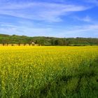 Intermède printanier 38 -- Agriculture dans le Gers en avril