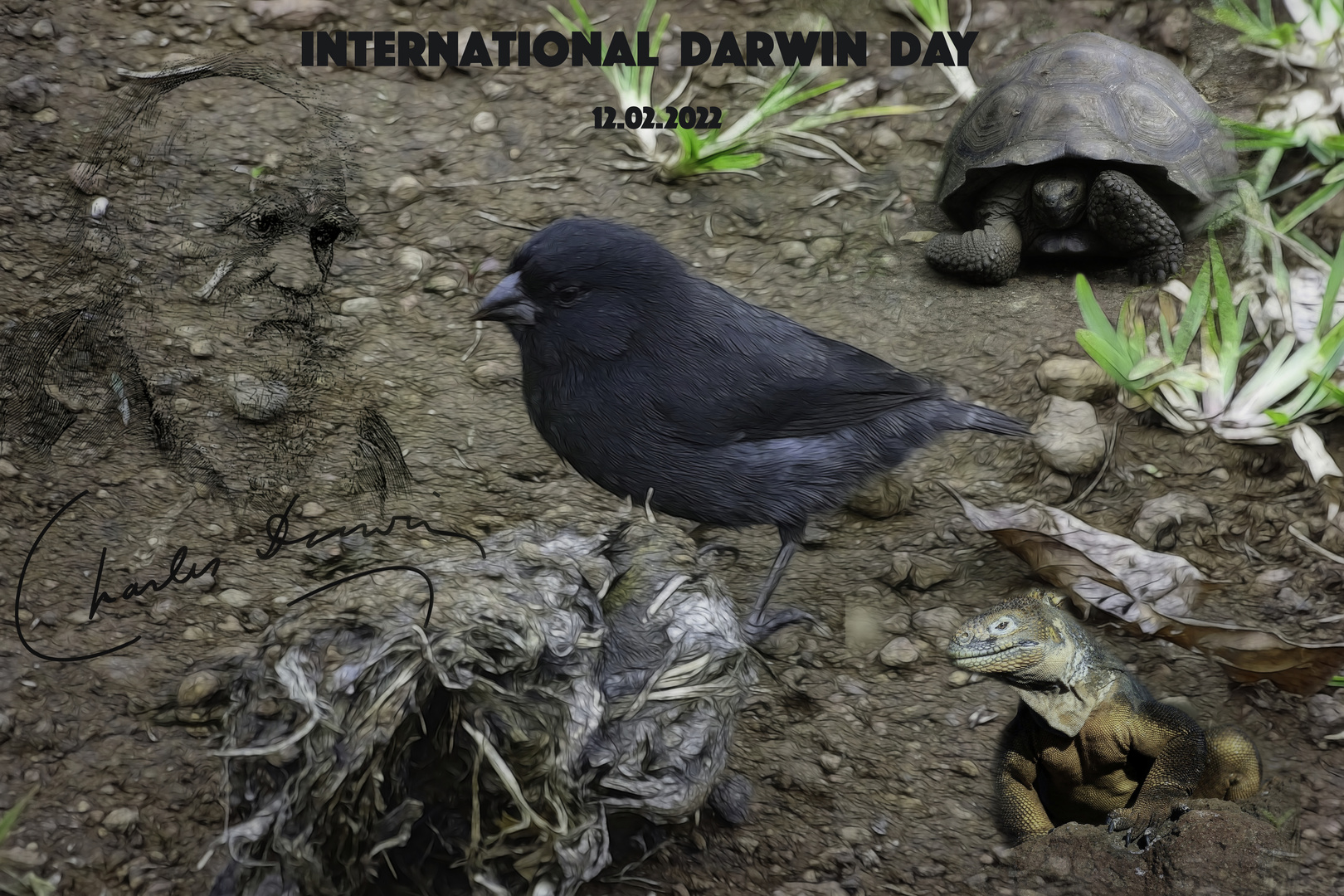 International Darwin Day