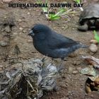 International Darwin Day