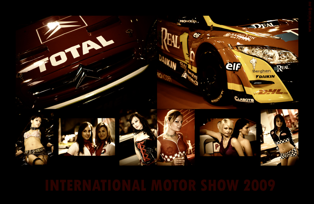 International Motor Show 2009