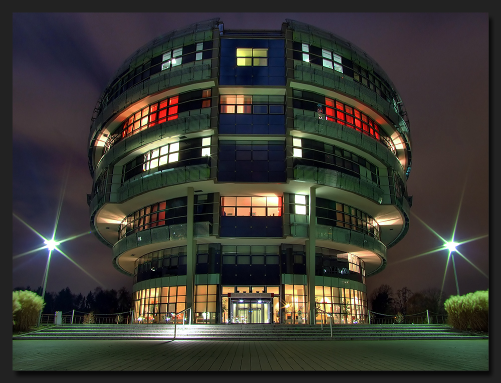 International Neuroscience Institute ( INI )