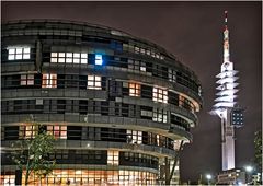 International Neuroscience Institute ( INI ) Hannover