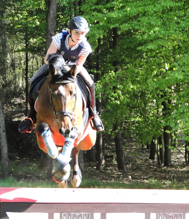 Internationale Vielseitigkeit CCI* / CCI** u. Deutsche Jugend-Meisterschaft 2010