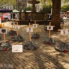 Internationaler Tag der Abschaffung von Tierversuchen in Braunschweig