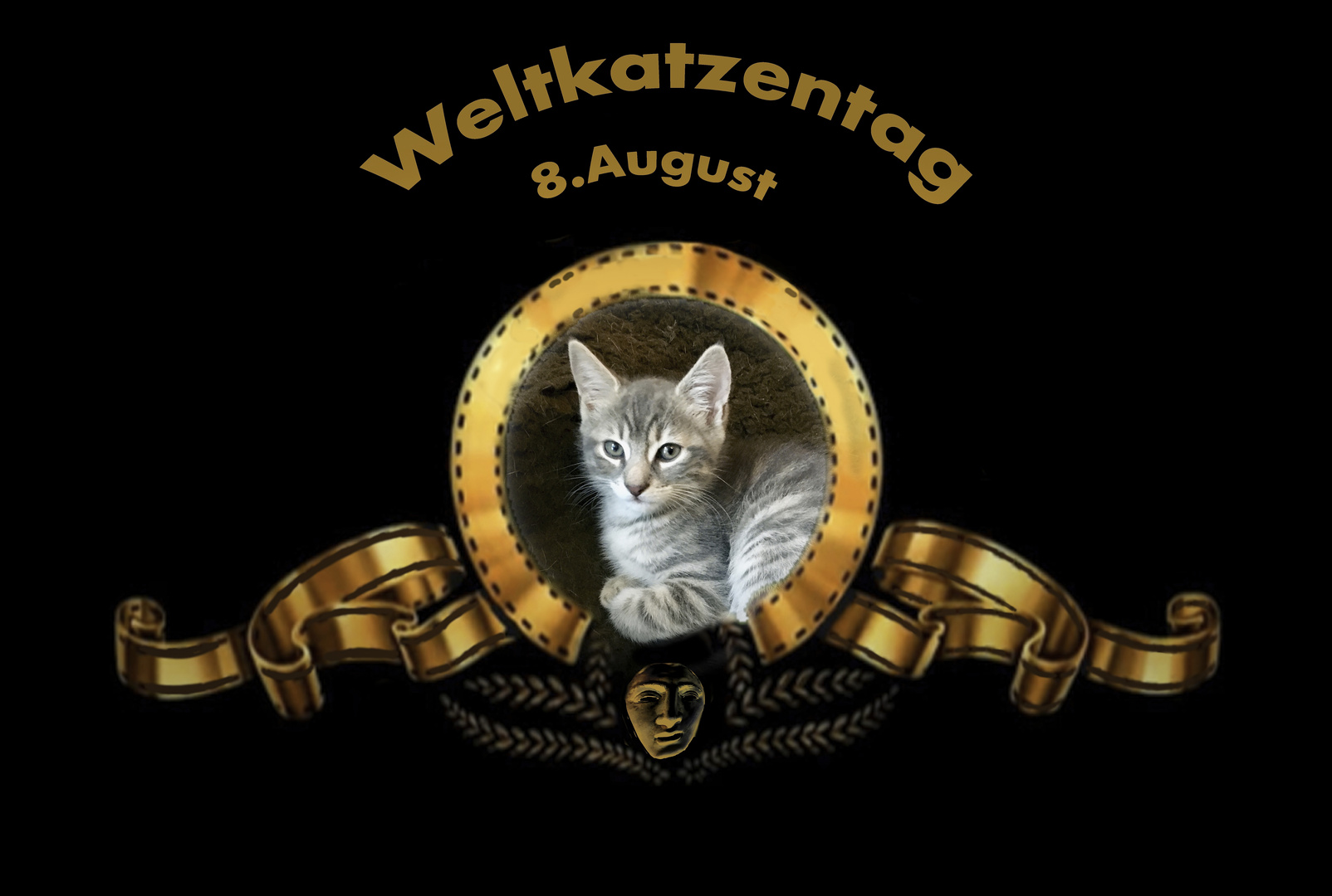 Internationaler Tag der Katze