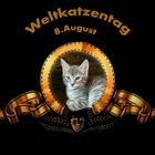 Internationaler Tag der Katze