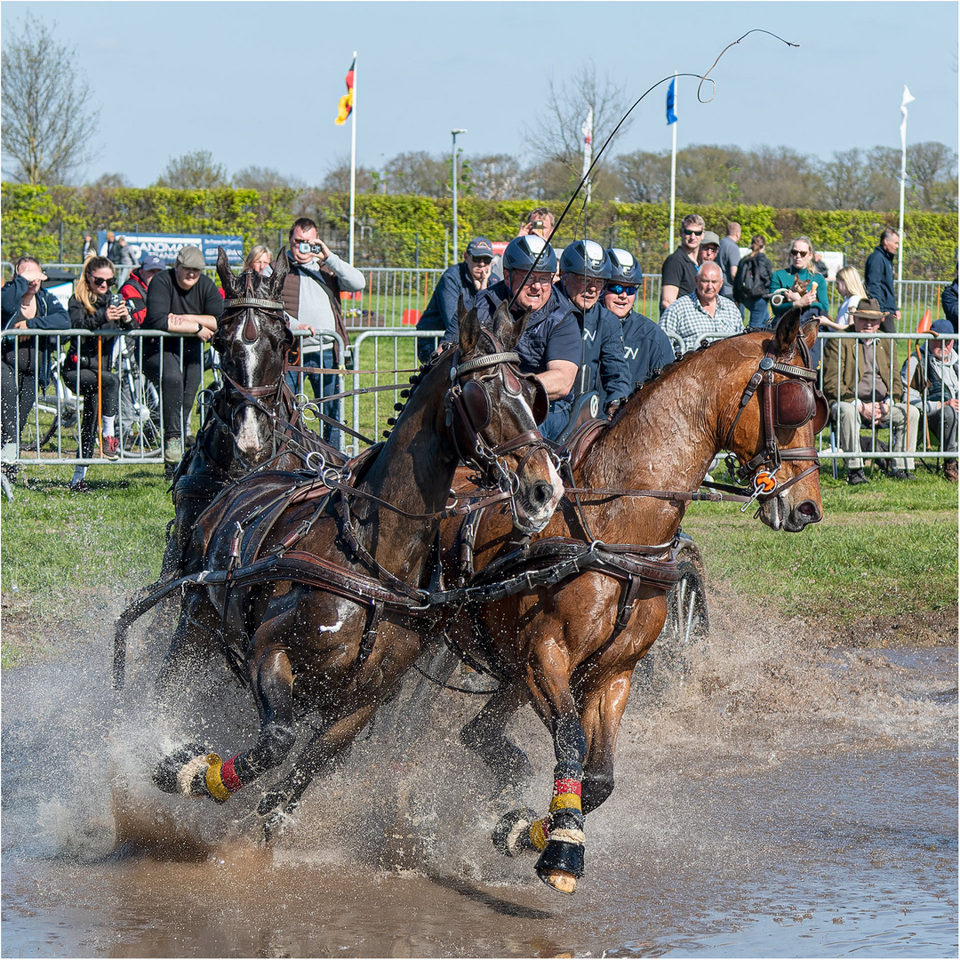 Internationales Fahrturnier