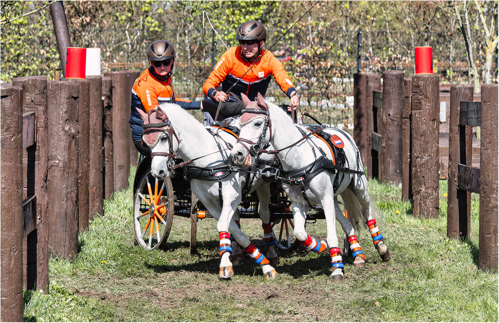 Internationales Fahrturnier