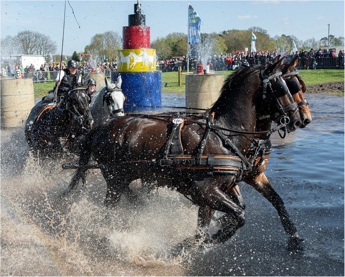 Internationales Fahrturnier