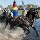 Internationales Fahrturnier