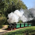 Internationales Feldbahntreffen bei der Waldeisenbahn Muskau am 12.10.2012