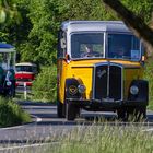 Internationales Oldtimer-Bustreffen