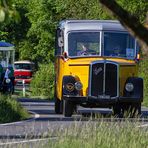 Internationales Oldtimer-Bustreffen