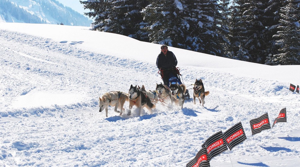 Internationales Schlittenhunderennen in LES MOSSES 2009