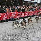 Internationales-Schlittenhunderennen und Start