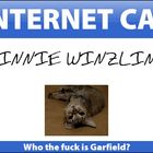 Internet Cat