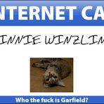 Internet Cat