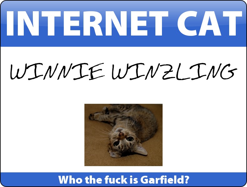 Internet Cat