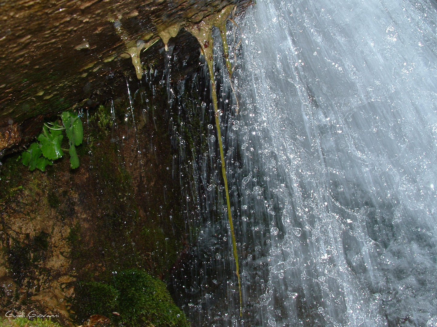 interno cascata