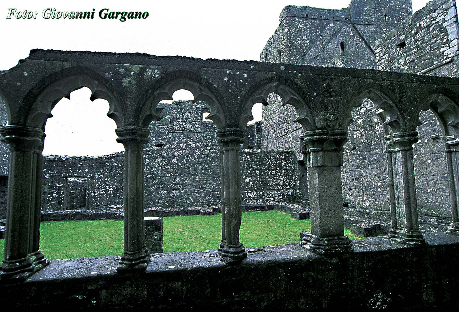 Interno di Fore abbey . Irlanda