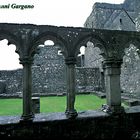 Interno di Fore abbey . Irlanda