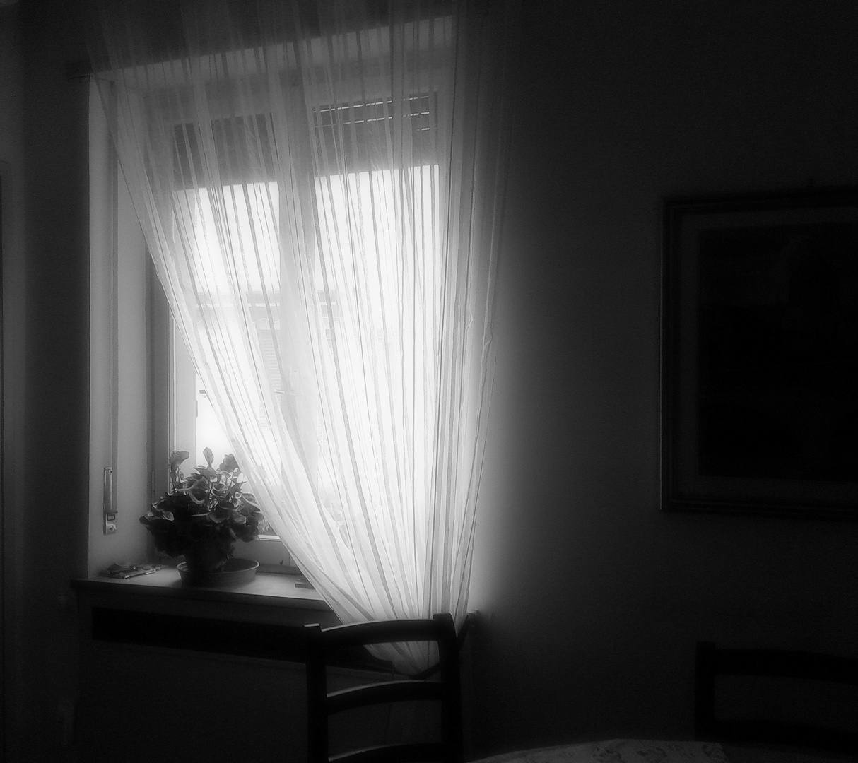 ....Interno...in b/W