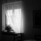 ....Interno...in b/W