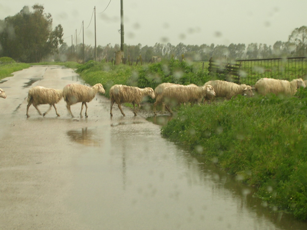 intervallo televiso in sardegna