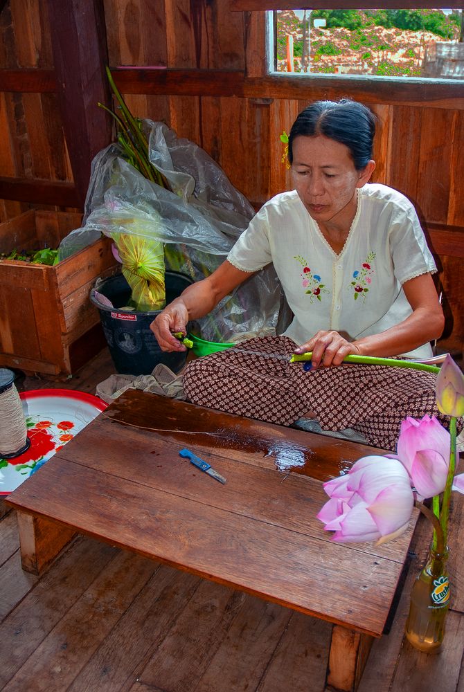 Intha woman producing silk fiber