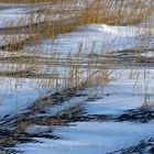 intimate dunescape