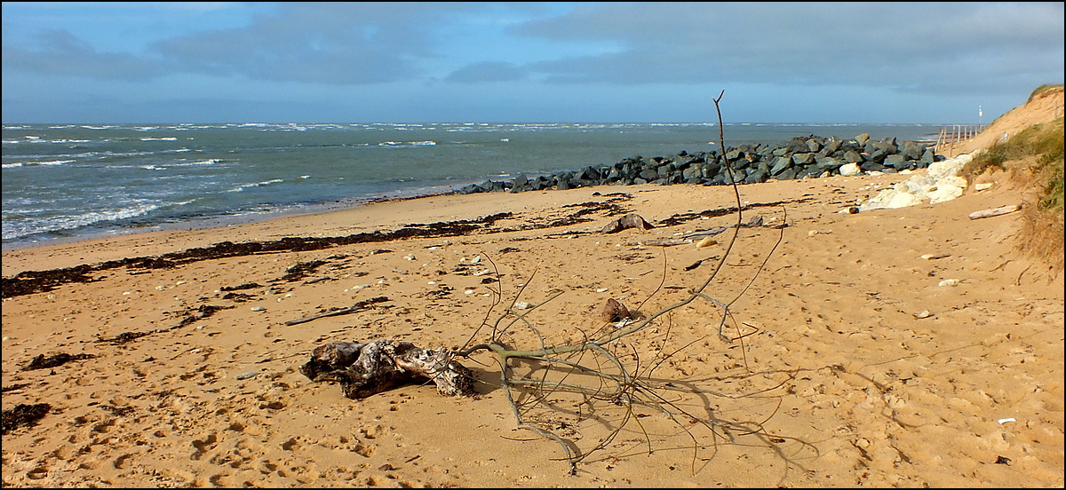 Intime et sauvage