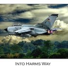 Into HARMs Way