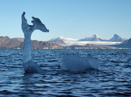 into the blue: Naturkunst