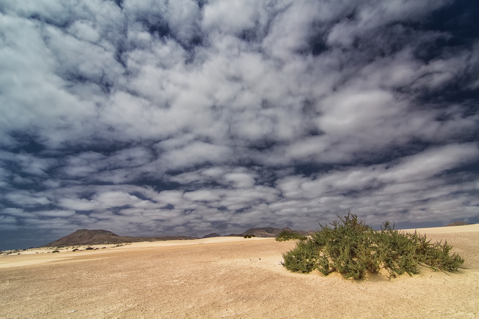 into the desert