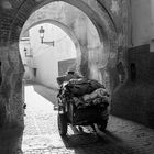 "... into the light" MARRAKECH-IMPRESSIONEN